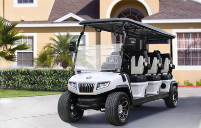 HDK Golf Cart: D5 Series – Sales Overview and Highlights